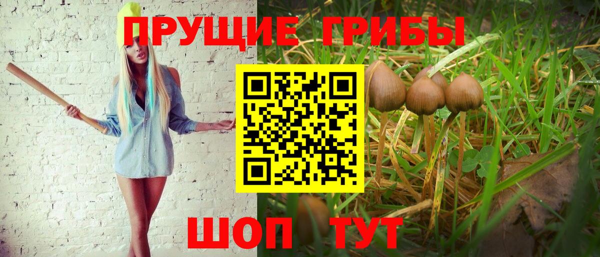 Россошь  Галлюциногенные грибы GOLDEN TEACHER  Вход с VPN 